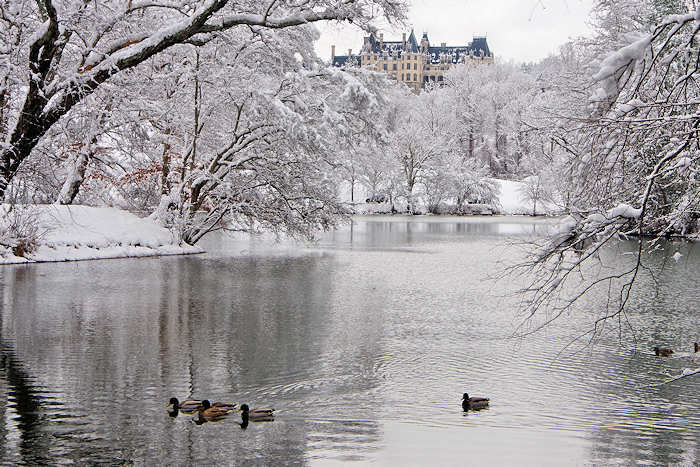 Biltmore House Winter Tours