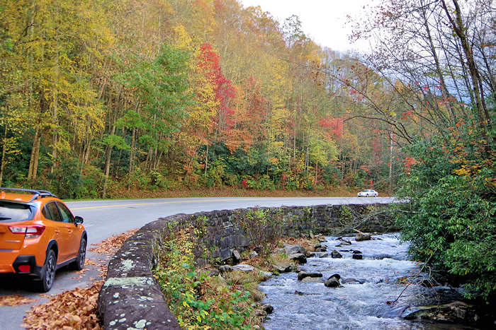 Great Smoky Mountains Scenic Drives