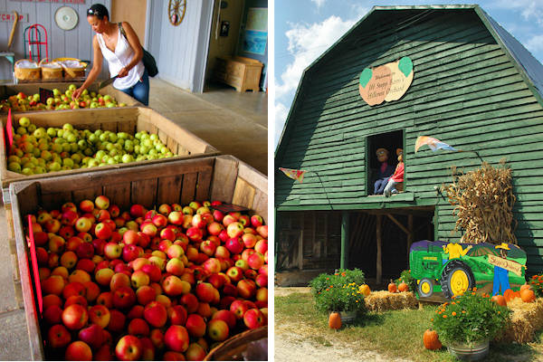 Apple Orchards in Hendersonville NC
