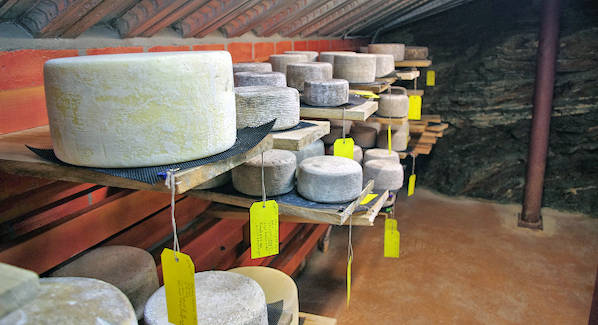 Blue Ridge Mountain Cheese Cave