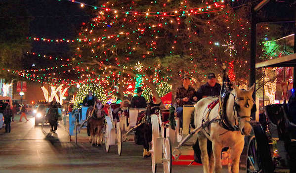 Forest City Carriage Rides