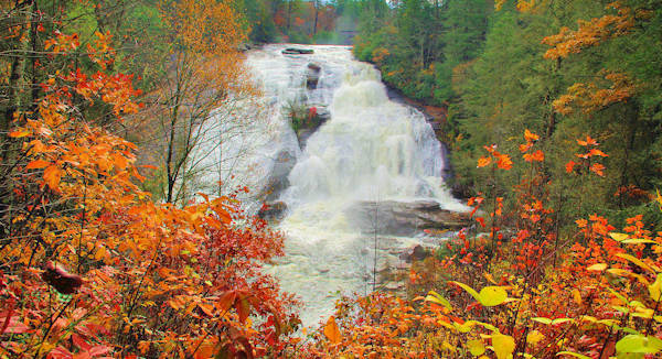 High Falls, Fall color