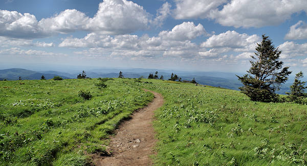 Roan Mountain Grassy Ridge