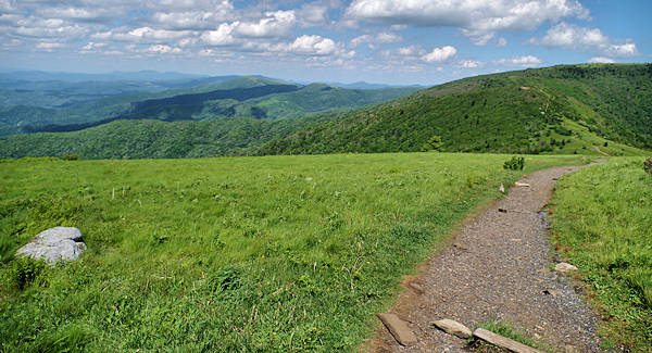 Roan Mountain Appalachian Trail