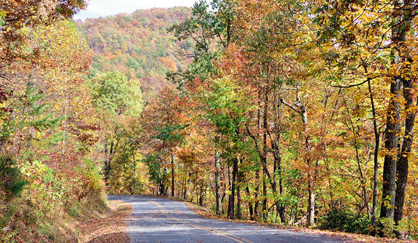 White Oak Mountain Road