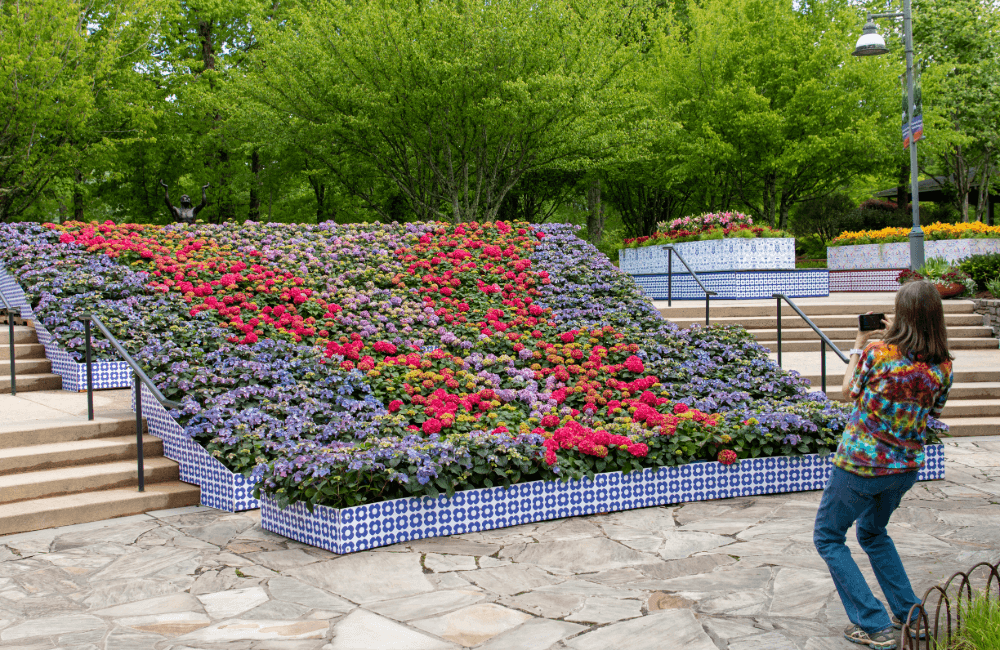Outdoor flower display at NC Arboretum