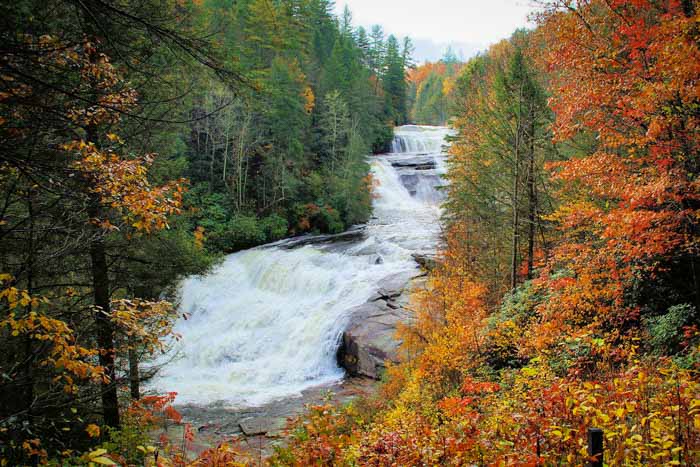 DuPont State Forest Waterfall & Hiking Guide