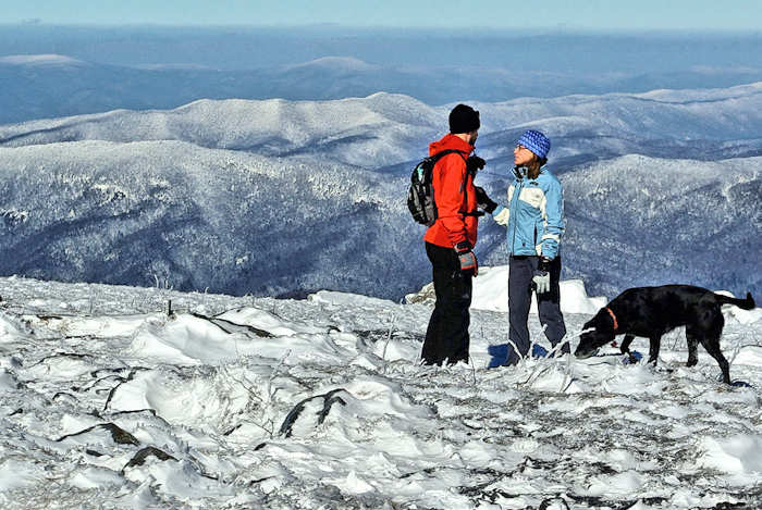 Winter Things to Do in Asheville Mountains