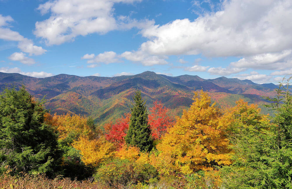 16 Quick Hikes, Blue Ridge Parkway 