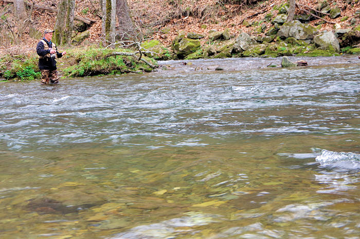 North Toe River - Southern Appalachian Anglers