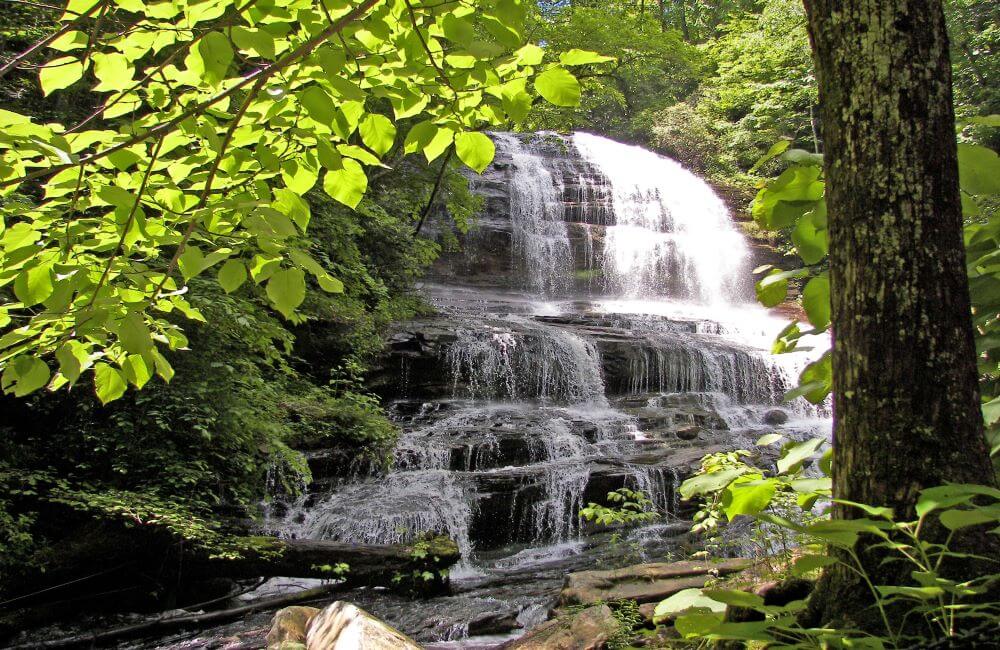 Pearson's Falls and Glen