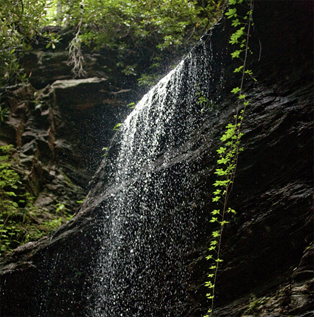 Moore Cove Falls