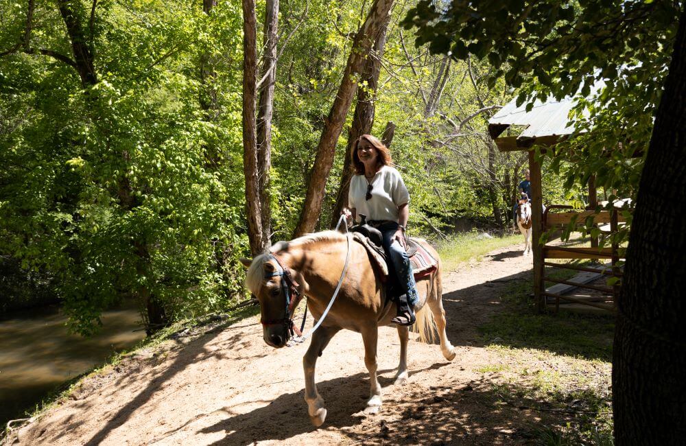 Horseback riding in Rutherford County