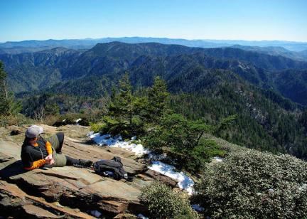 Andrews Bald Hike in Great Smoky Mountains National Park