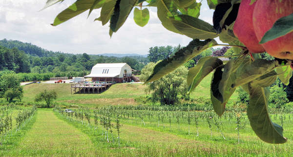 Apple Farm Orchards Near Asheville And Hendersonville