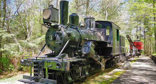 Cradle of Forestry Train