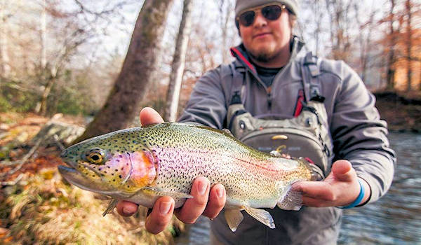 Unique “trout trail” offers fishermen plenty of water in Jackson
