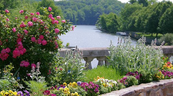 Lake Lure Flowering Bridge