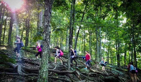 Forest Bathing Hikes Asheville Wellness Tours